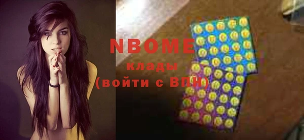 гашик Козельск