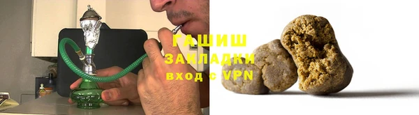 гашик Козельск
