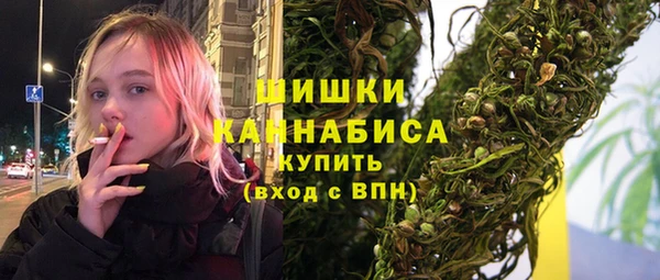 гашик Козельск