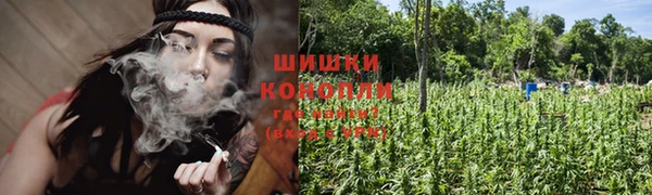 соль ск Костерёво