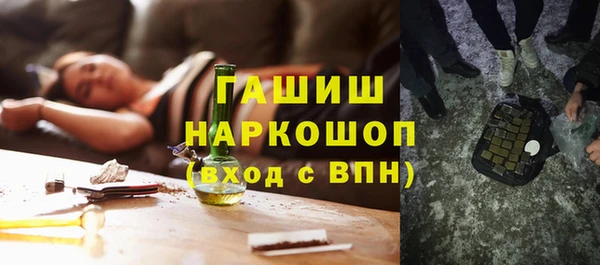 гашик Козельск
