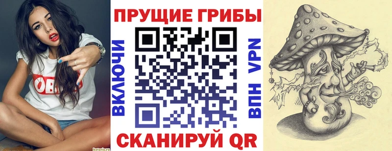 Псилоцибиновые грибы GOLDEN TEACHER  Советская Гавань 