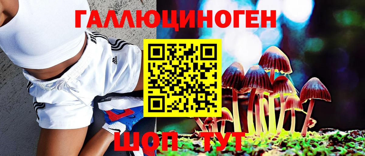 Псилоцибиновые грибы прущие грибы Советская Гавань