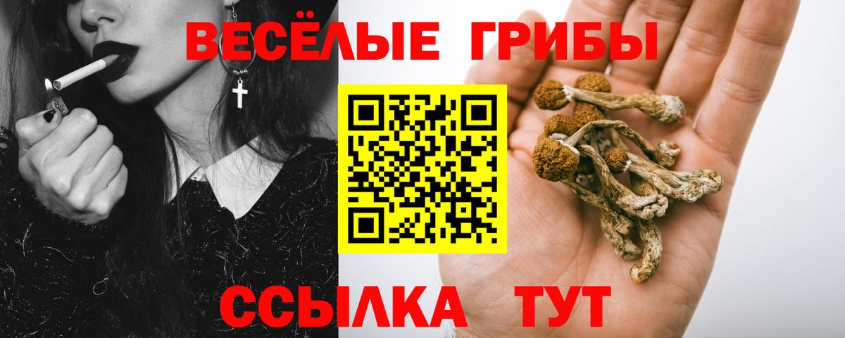 Галлюциногенные грибы мицелий  Вход с VPN  Советская Гавань 