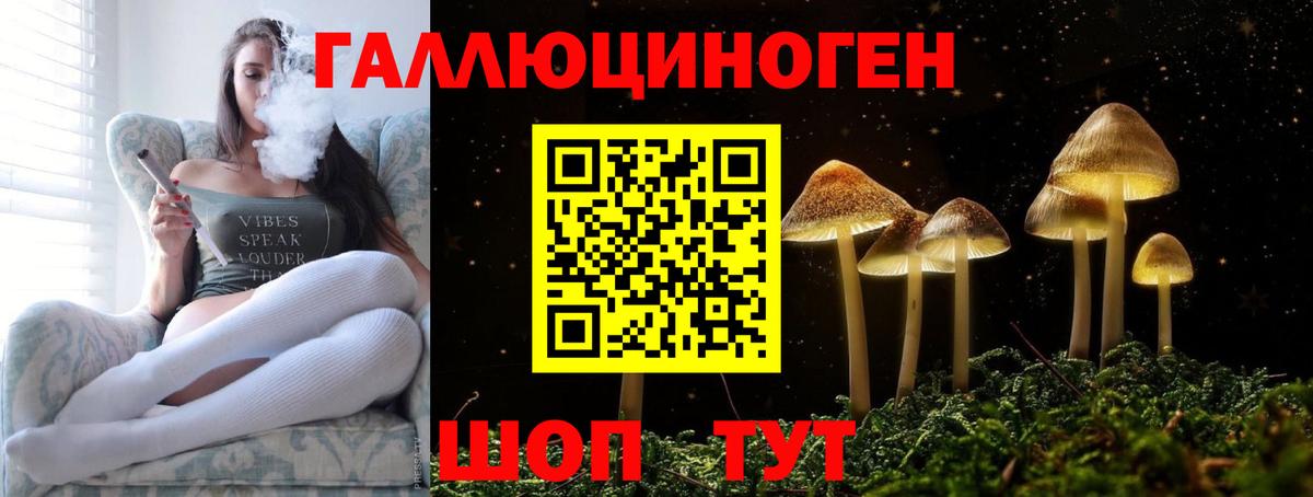 Псилоцибиновые грибы GOLDEN TEACHER Советская Гавань
